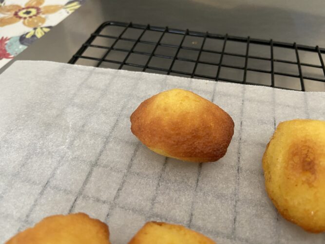 mini madeleine
