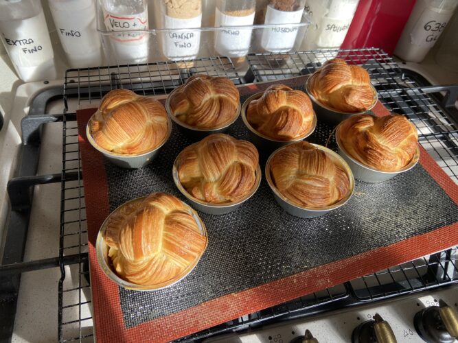 nodo gomitolo chignon