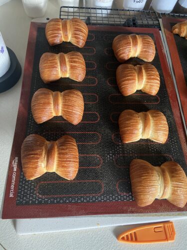papillon croissant