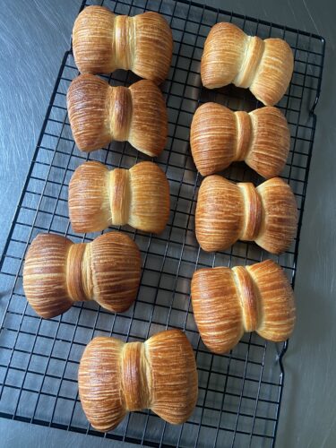 papillon croissant