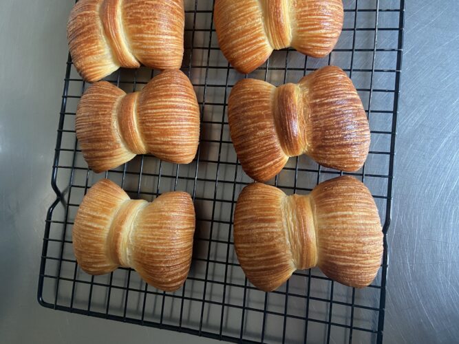 papillon croissant