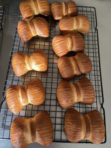 papillon croissant