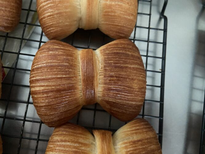 papillon croissant