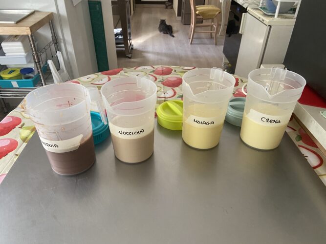 selezione gelati