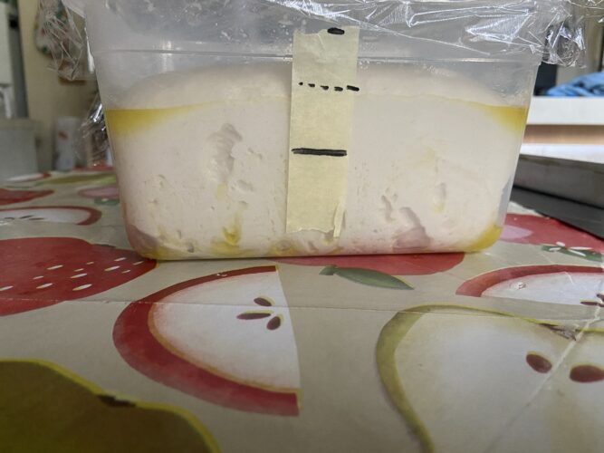 focaccia morbida teglia veloce