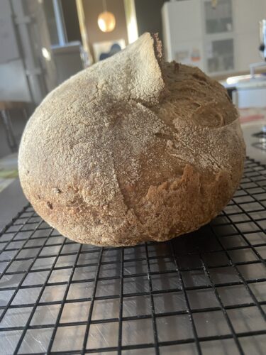 pane cuor di cereali lievito madre