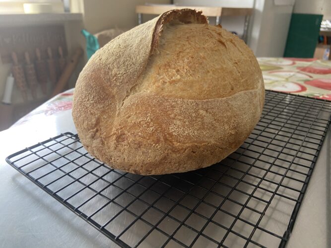 pane farro spelta e lievito madre