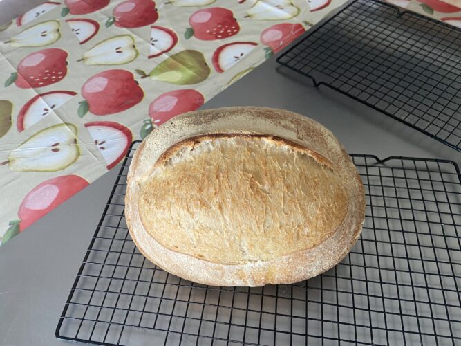 pane farro spelta e lievito madre