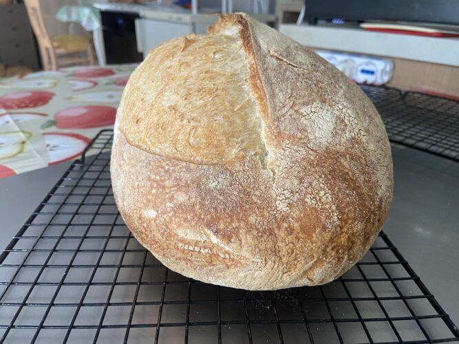 pane farro spelta e lievito madre