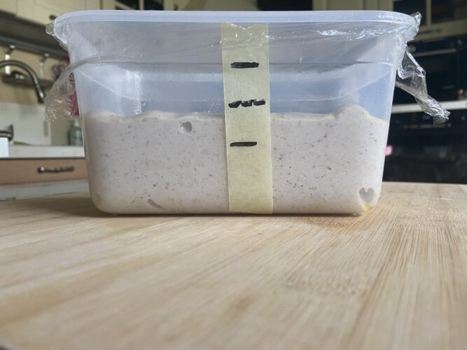 pane farro grano saraceno lievito madre