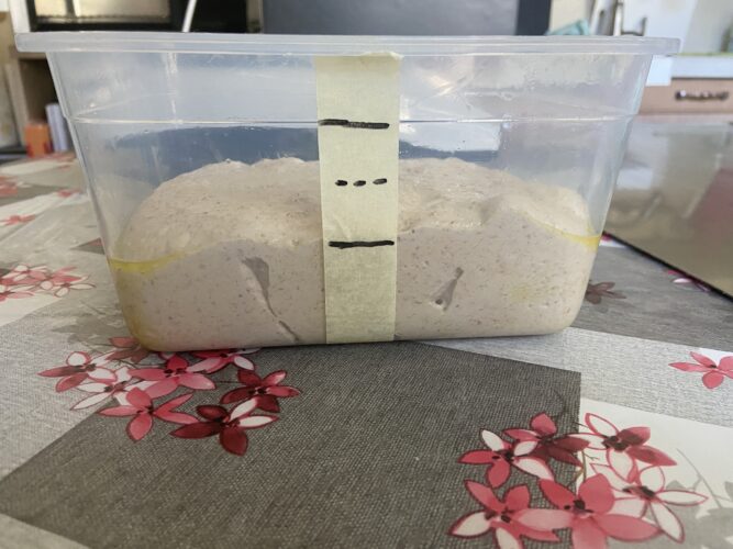 pane orzo malto lievito madre
