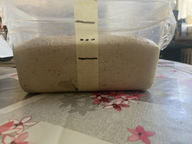 pane orzo malto lievito madre