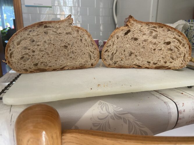 pane grani antichi lievito madre