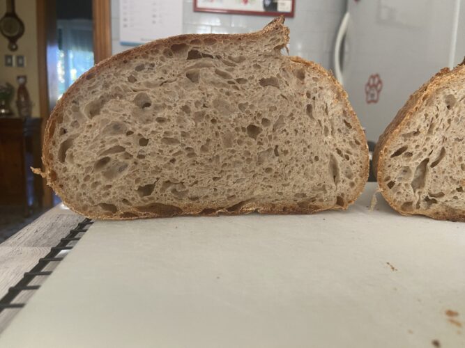 pane grani antichi lievito madre