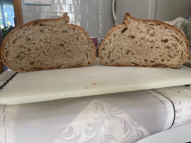 pane grani antichi lievito madre