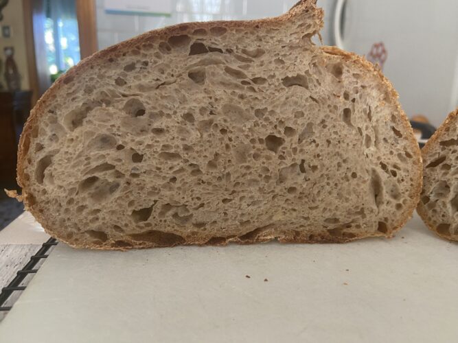 pane grani antichi lievito madre