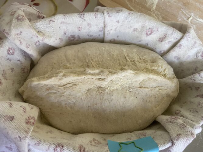 pane multicereali lievitazione naturale