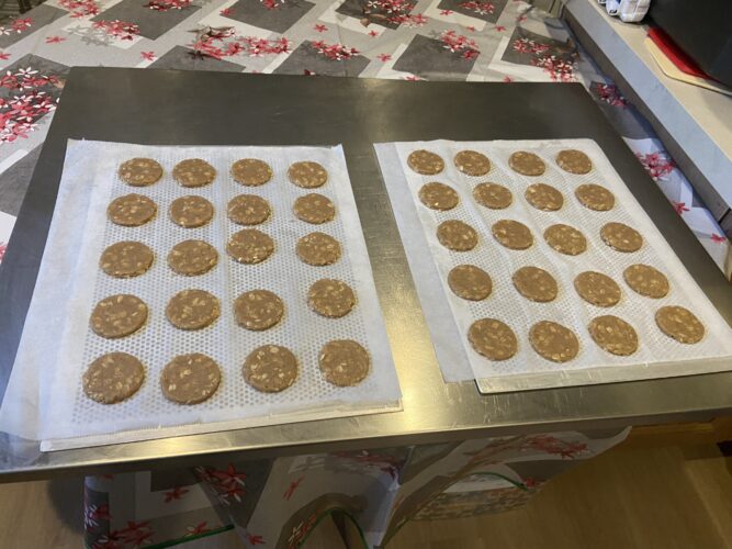 biscotti avena cioccolato senza glutine senza lattosio