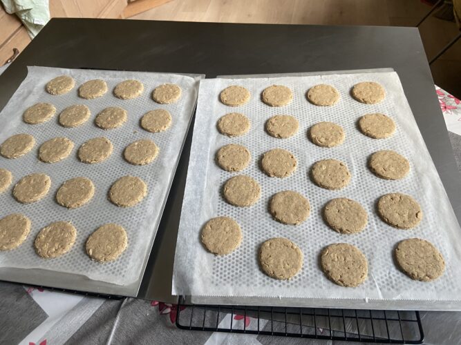 biscotti avena cioccolato senza glutine senza lattosio