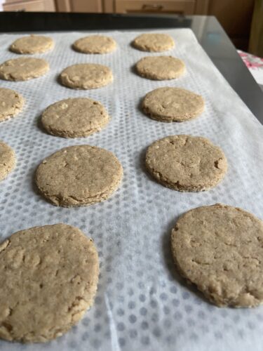 biscotti avena cioccolato senza glutine senza lattosio