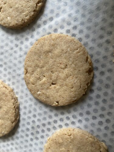 biscotti avena cioccolato senza glutine senza lattosio