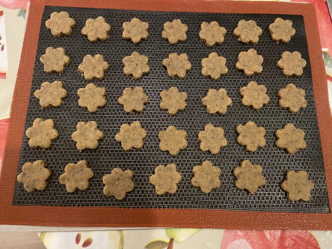 biscotti integrali ai semi