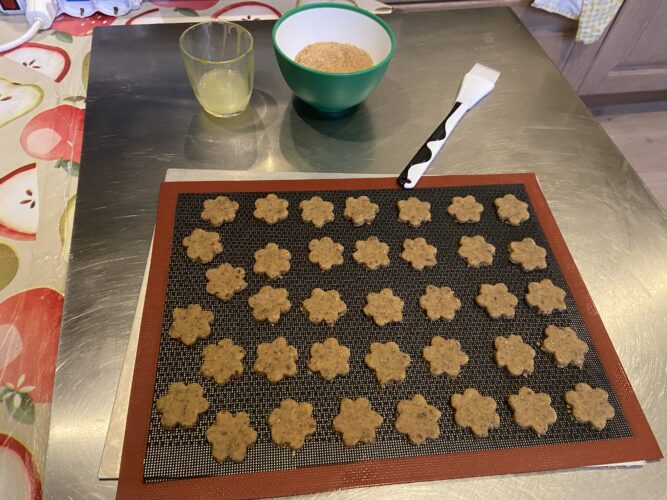 biscotti integrali ai semi