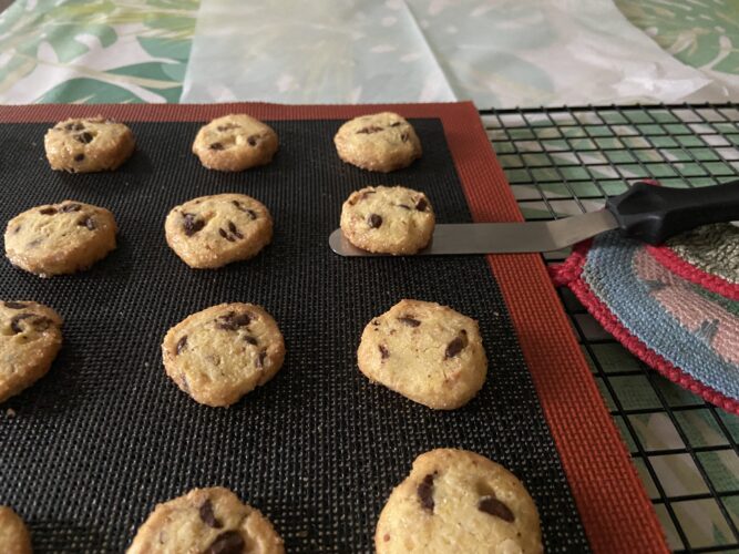 biscotti rustichelli mais nocciole cioccolato