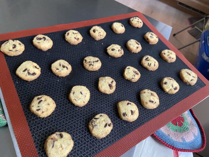 biscotti rustichelli mais nocciole cioccolato