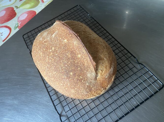 pane farro grano saraceno lievito madre