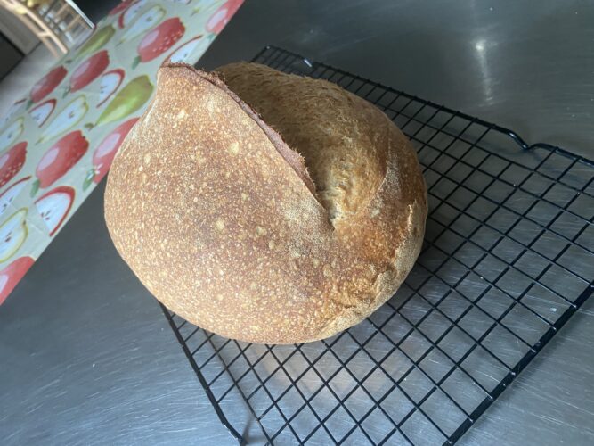 pane farro grano saraceno lievito madre