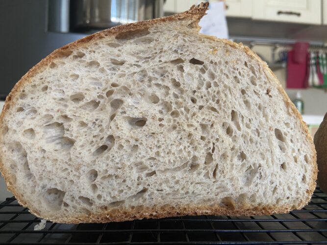 pane farro grano saraceno lievito madre
