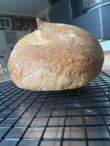 pane farro grano saraceno lievito madre