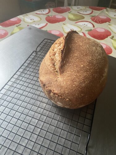 pane lievito madre grani antichi