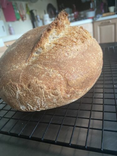 pane lievito madre grani antichi