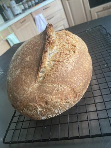 pane lievito madre grani antichi
