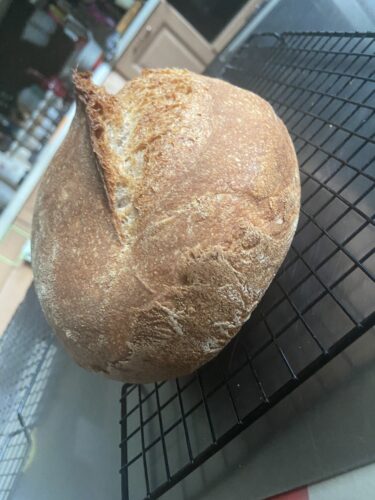 pane lievito madre grani antichi