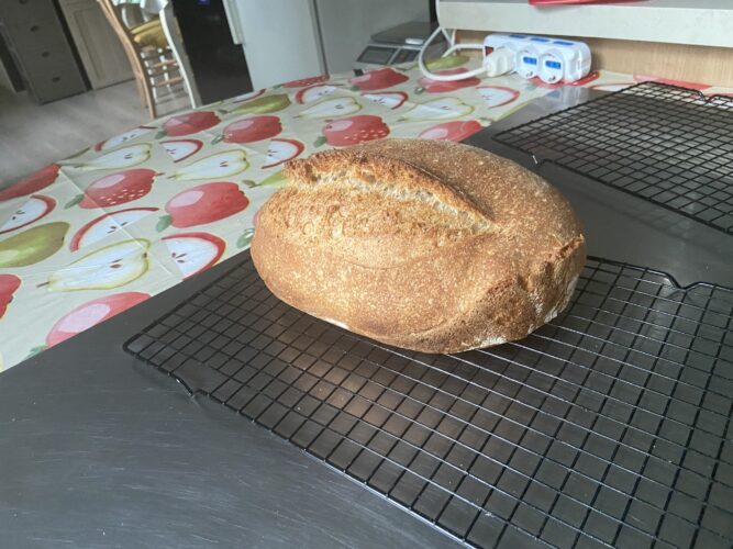 pane lievito madre grani antichi