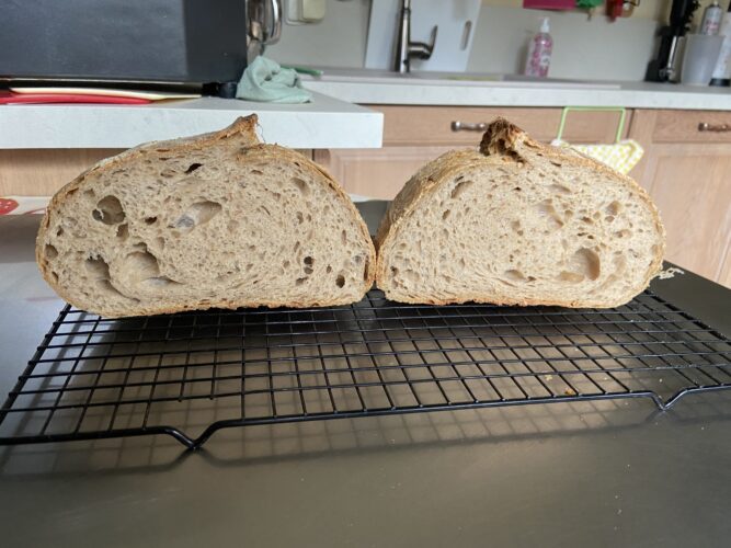 pane malto tostato lievito madre