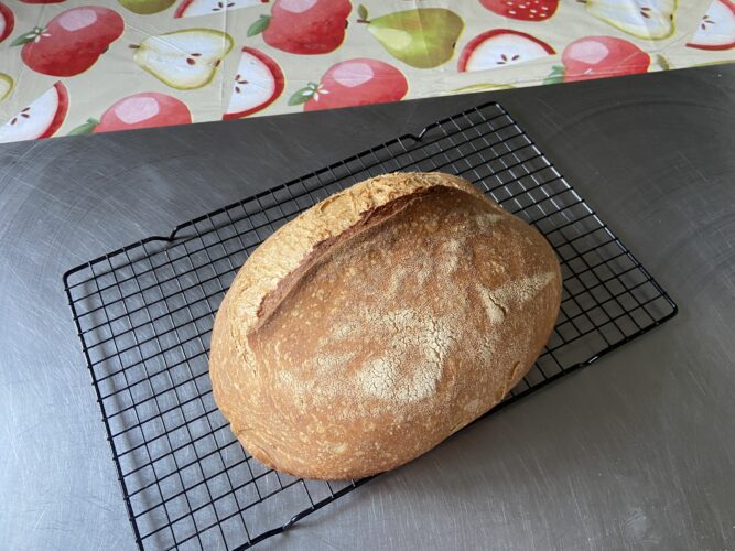 pane malto tostato lievito madre