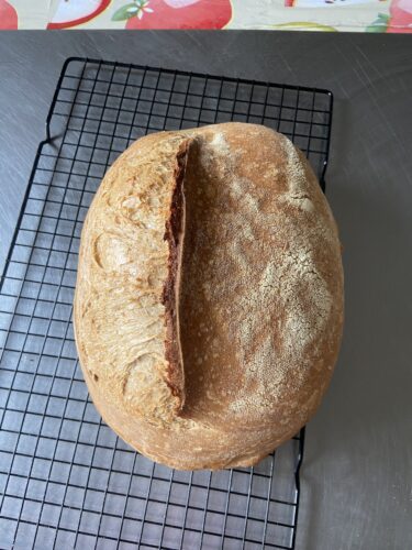 pane malto tostato lievito madre