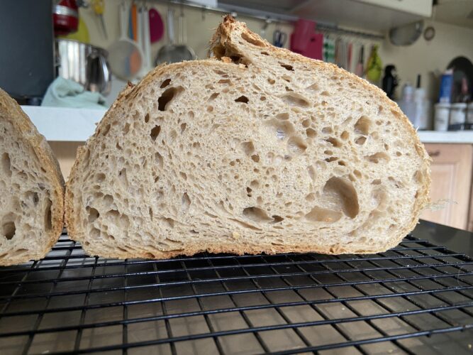 pane malto tostato lievito madre