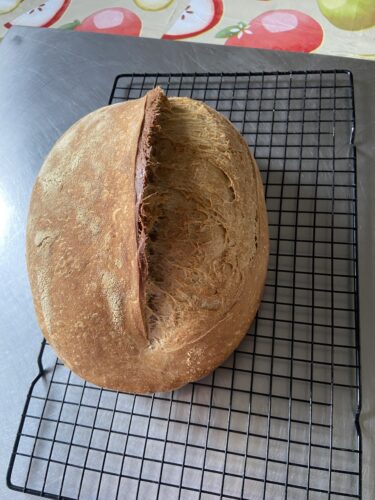 pane malto tostato lievito madre