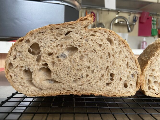 pane malto tostato lievito madre