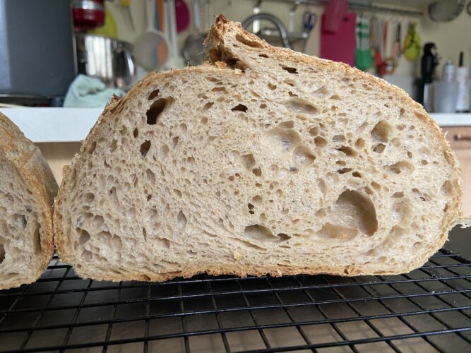 pane malto tostato lievito madre