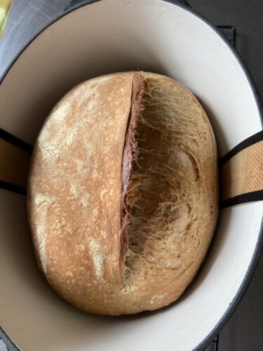 pane malto tostato lievito madre