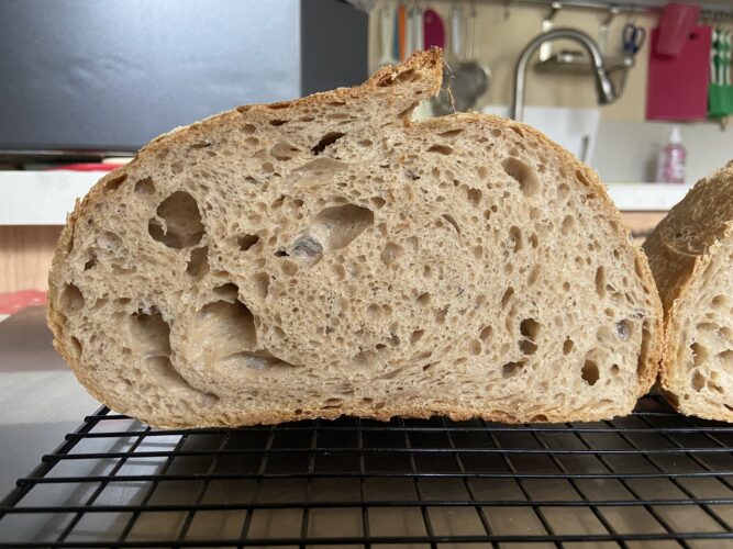 pane malto tostato lievito madre