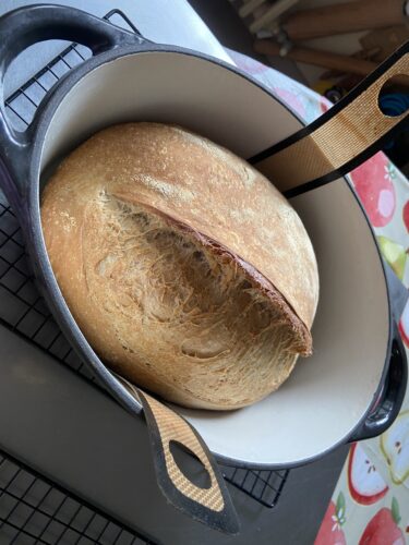 pane malto tostato lievito madre