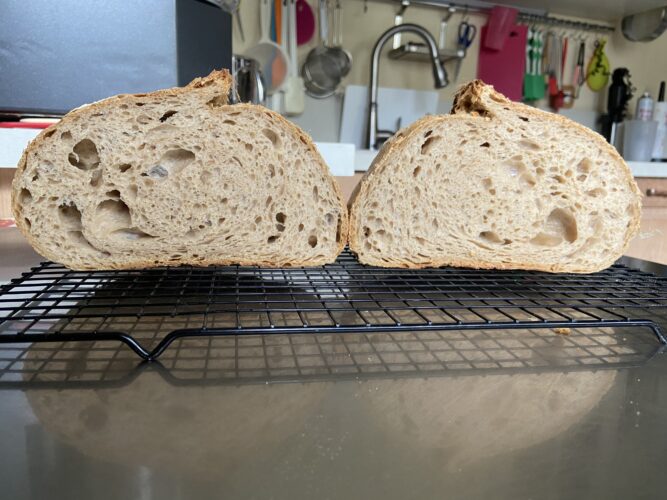 pane malto tostato lievito madre