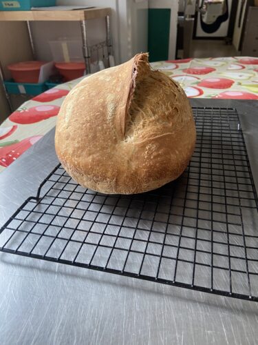 pane malto tostato lievito madre